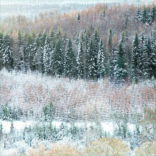 Beside Great Creigiau.jpg